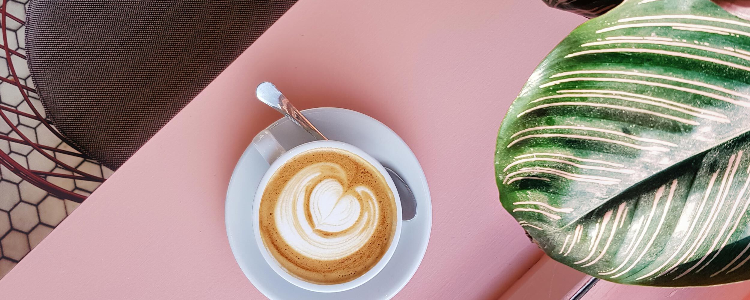 a coffee cup and a plant leaf on a pink background